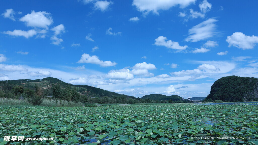 文山普者黑