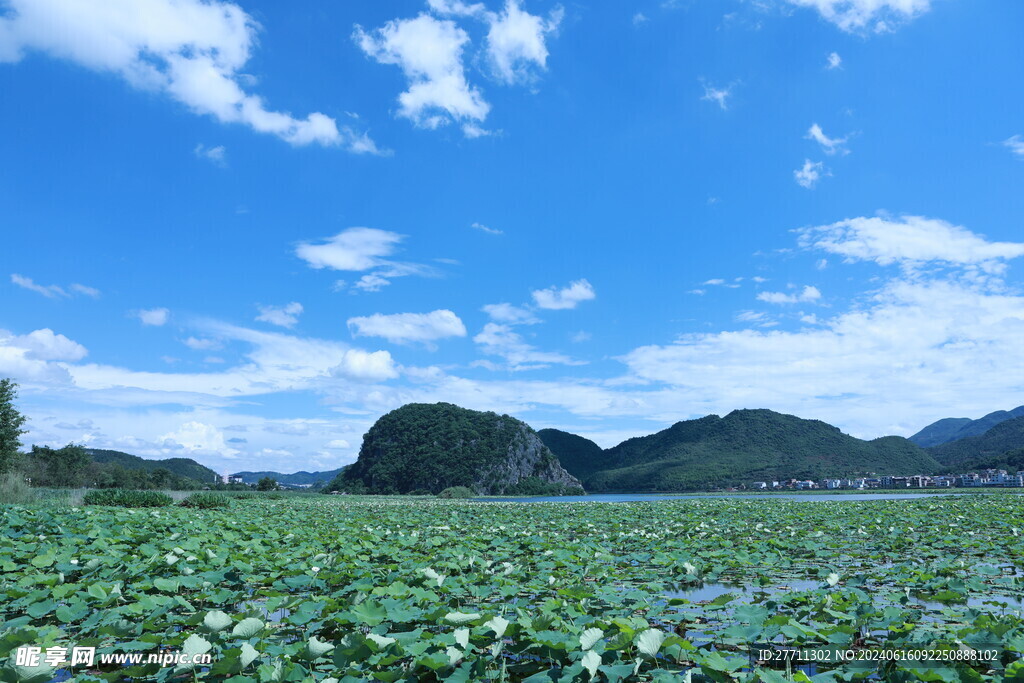 文山普者黑