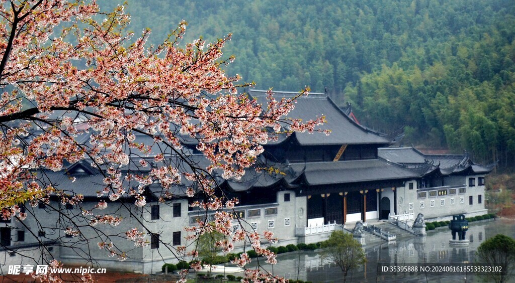 百丈寺春景