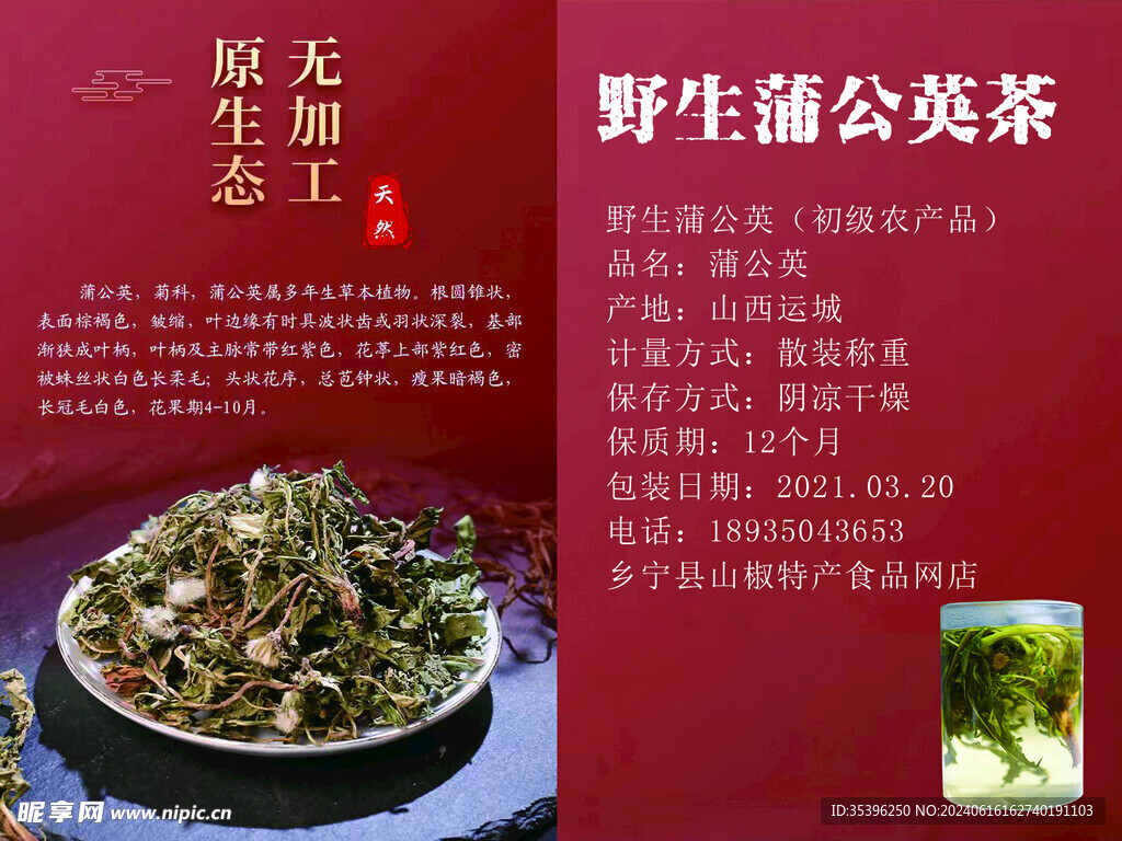 蒲公英   野生   花草茶 