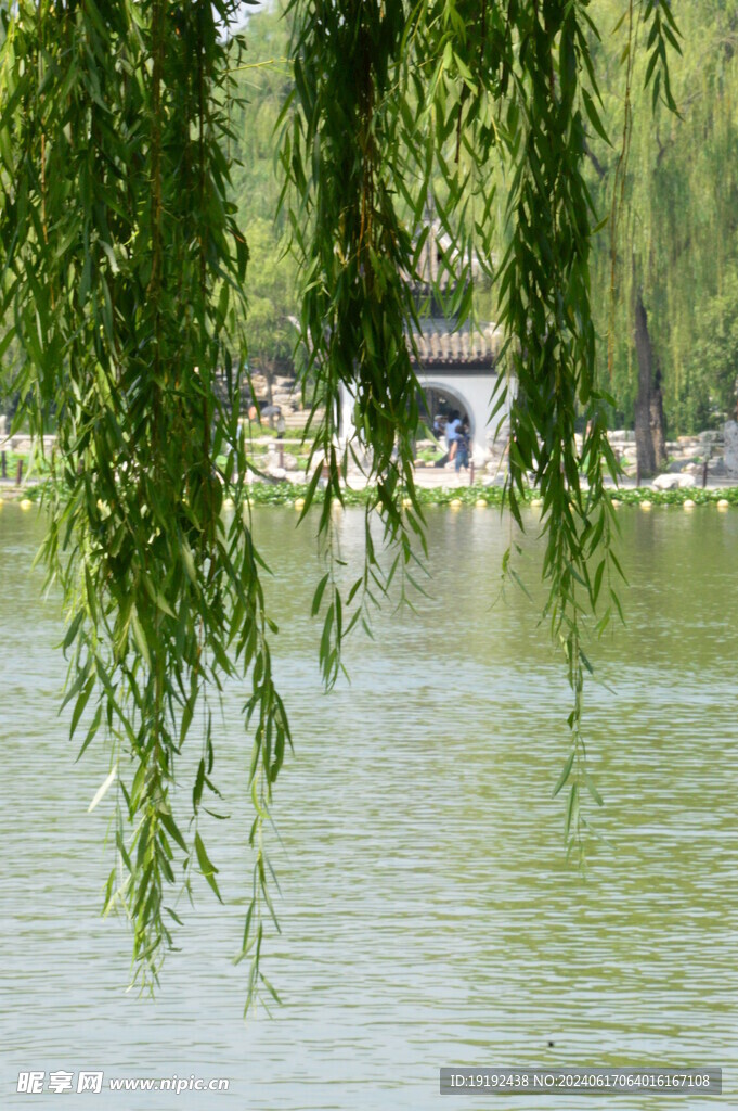 公园风景 