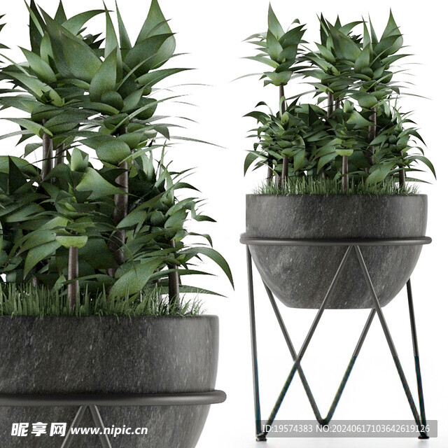 C4D模型 绿色植物