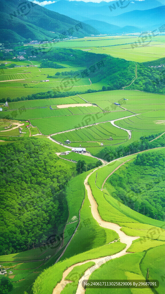 贵州山区中的稻田