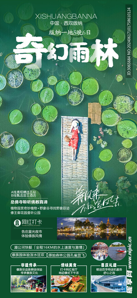 奇幻雨林