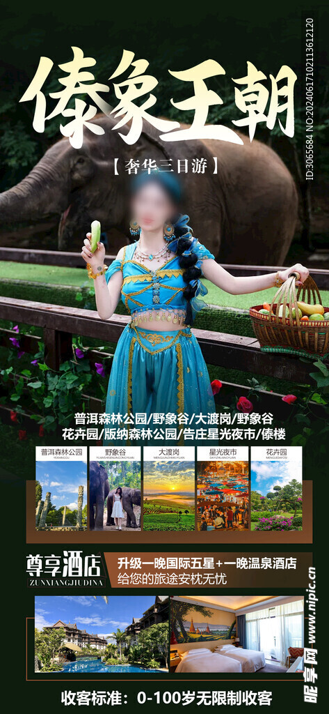 傣象王朝