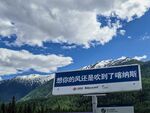 喀纳斯