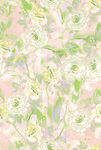 女装花