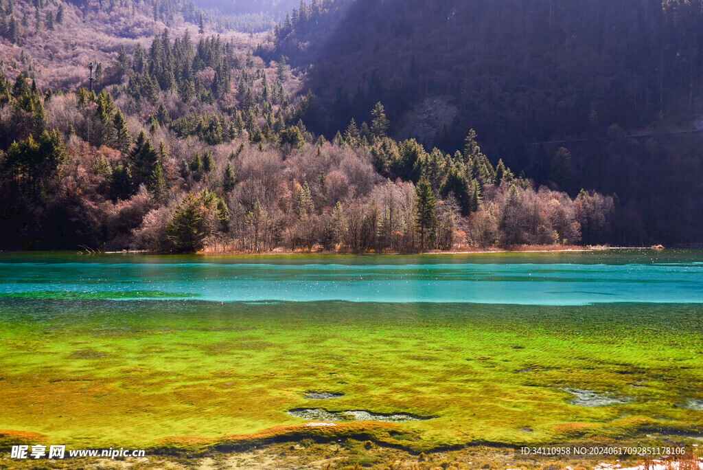 九寨沟五花海子自然美景