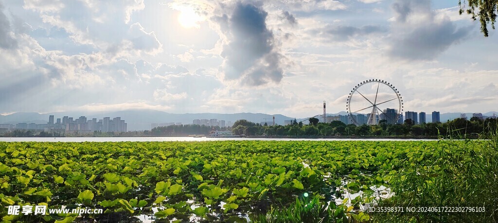 大观楼