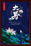 大暑海报