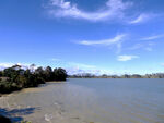  奥克兰海滨风景
