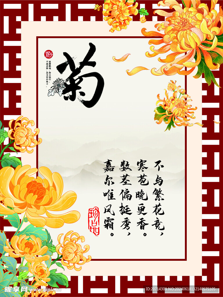 文化展板 菊