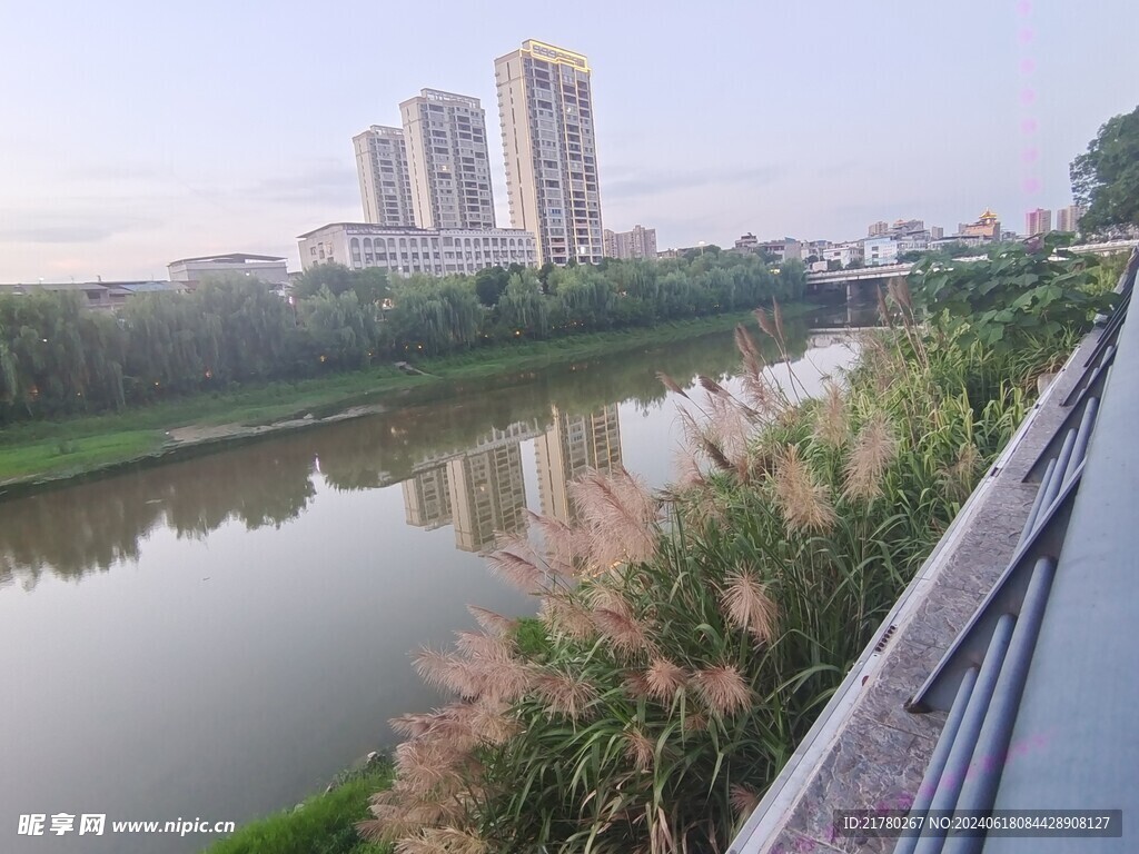 河边风景