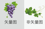 葡萄