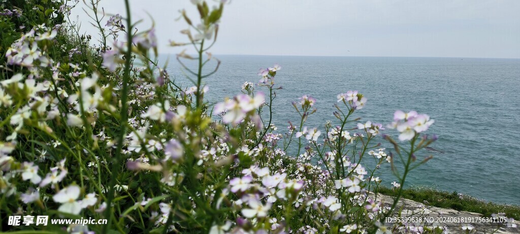 春暖花开 面朝大海