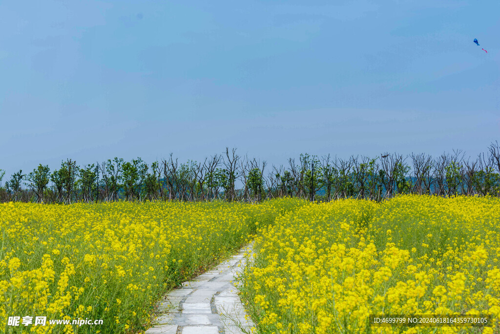 花间小路