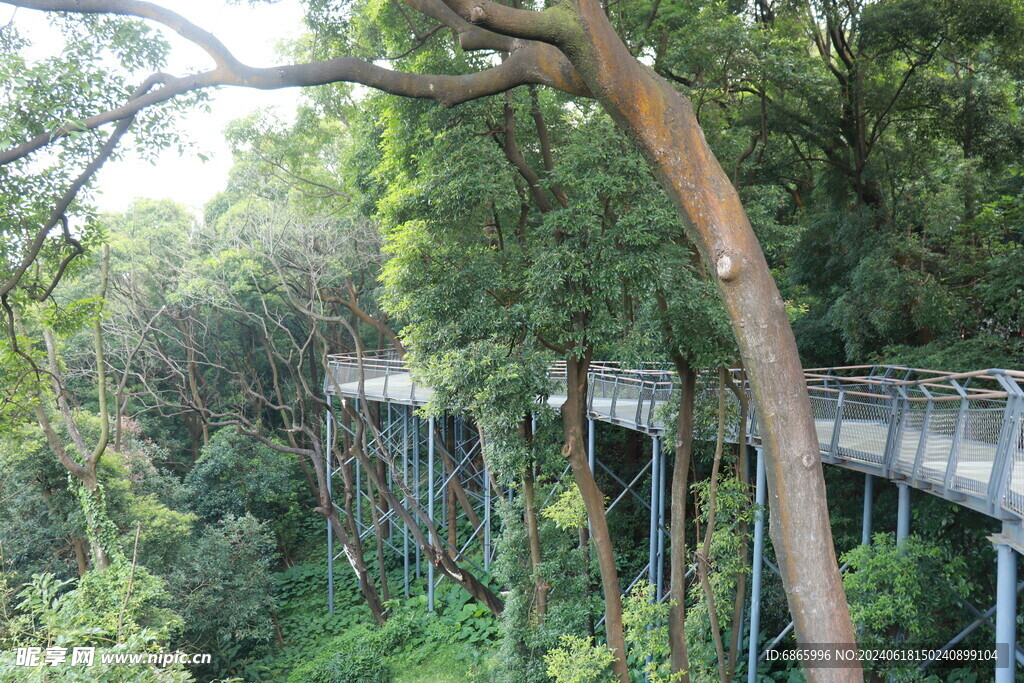 白云山栈道