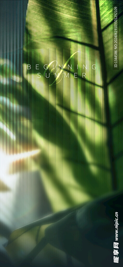 立夏绿植海报背景
