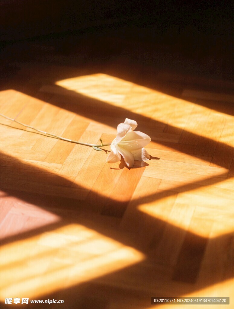 鲜花在地板上