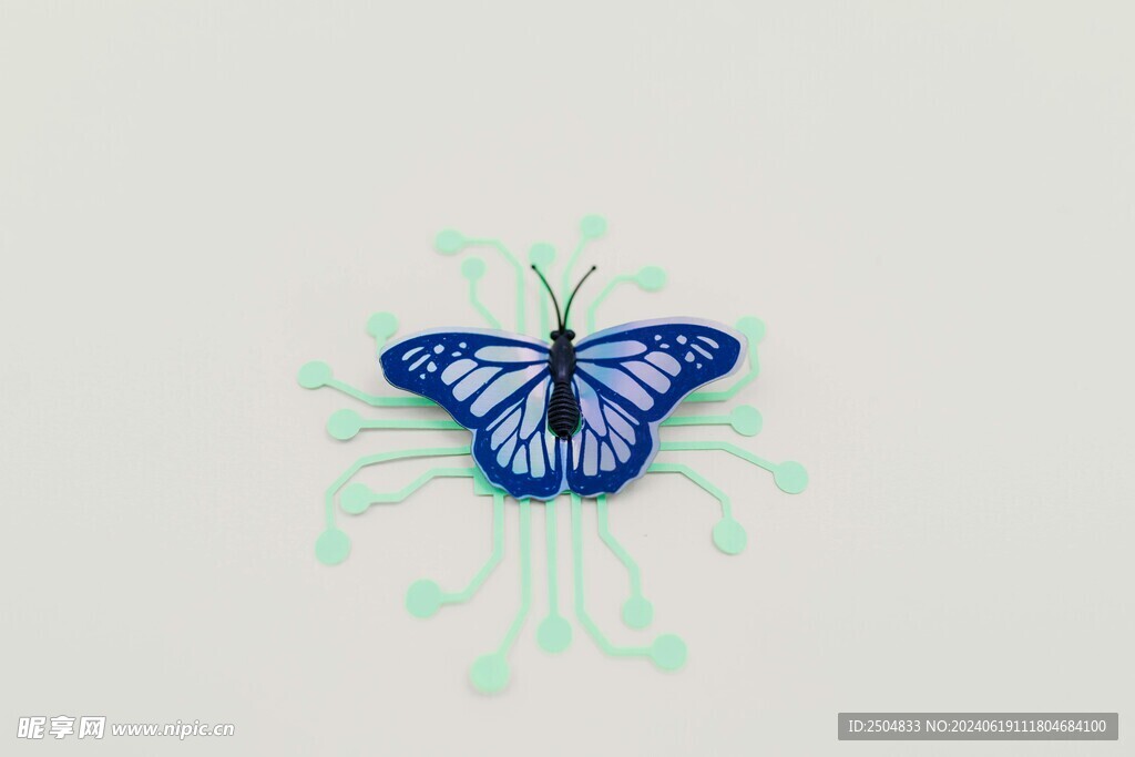蝴蝶