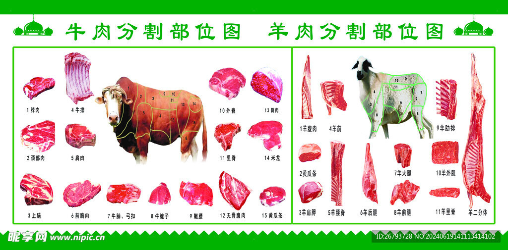 牛肉分割图