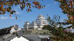 风景