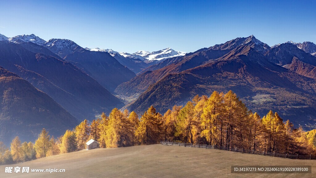 风景