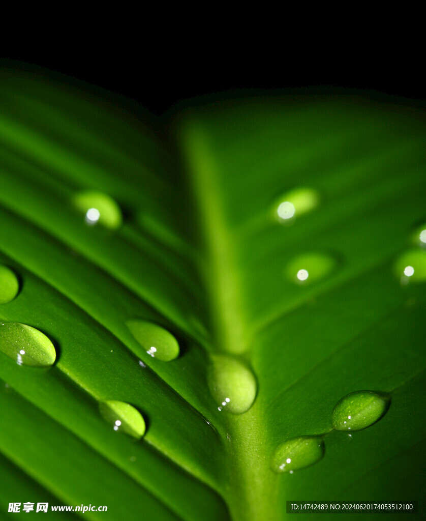 水珠