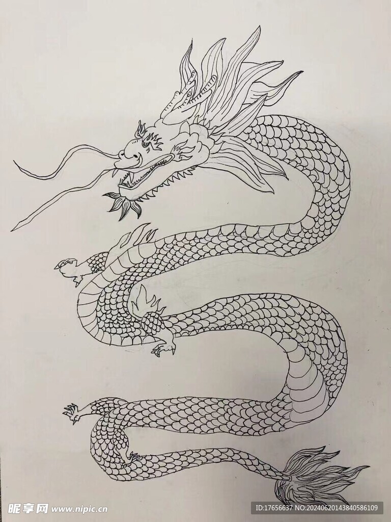 龙