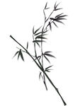 主业