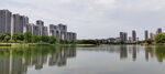 南京仙林湖
