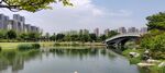 南京仙林湖