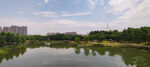 南京仙林湖