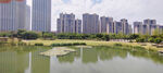 南京仙林湖