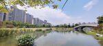 南京仙林湖