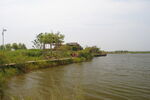哈尔滨金河湾湿地公园