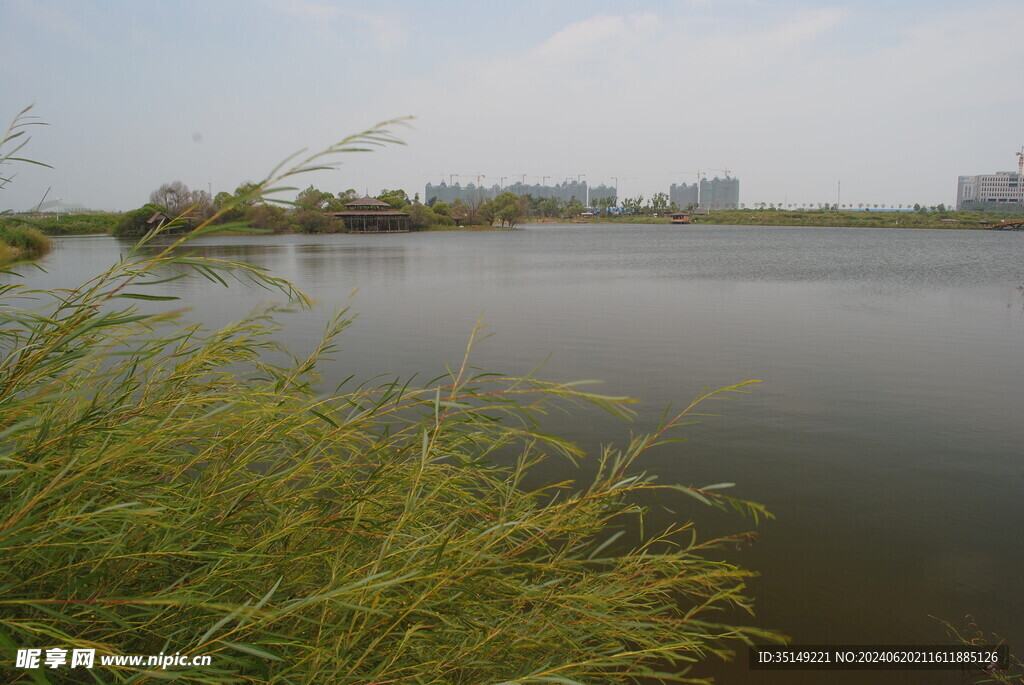 哈尔滨金河湾湿地公园