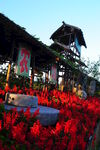 兰西民俗村风景