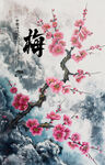 古典梅花