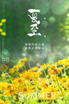 夏至
