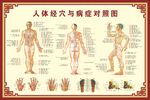 经穴与病症对照图