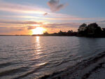 奥克兰海边夕阳风景