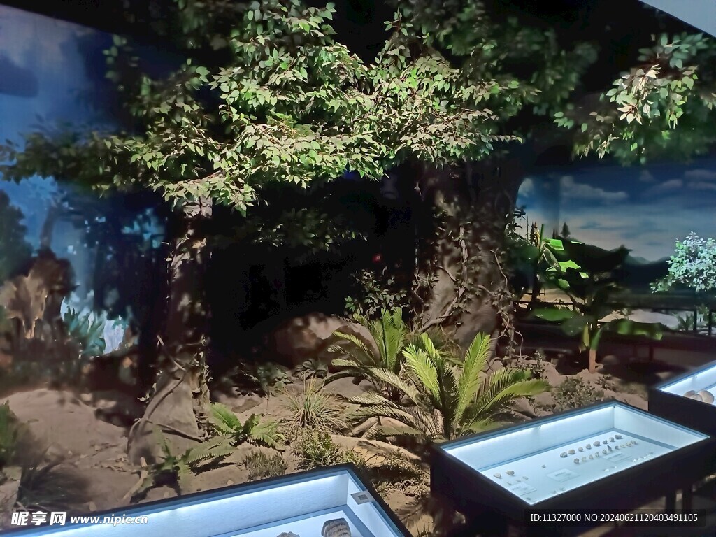博物馆