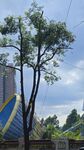 废弃游乐场天空