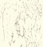 扎染
