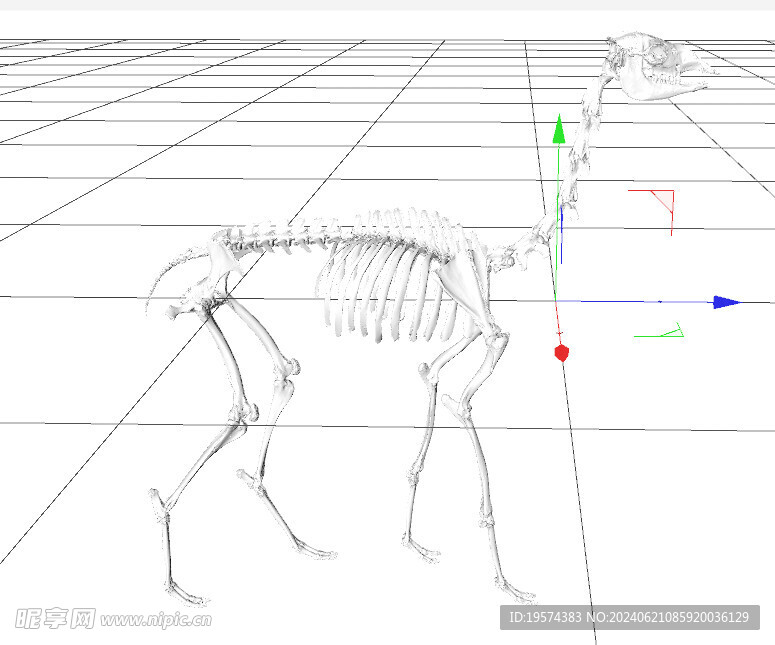 C4D模型 恐龙骨头