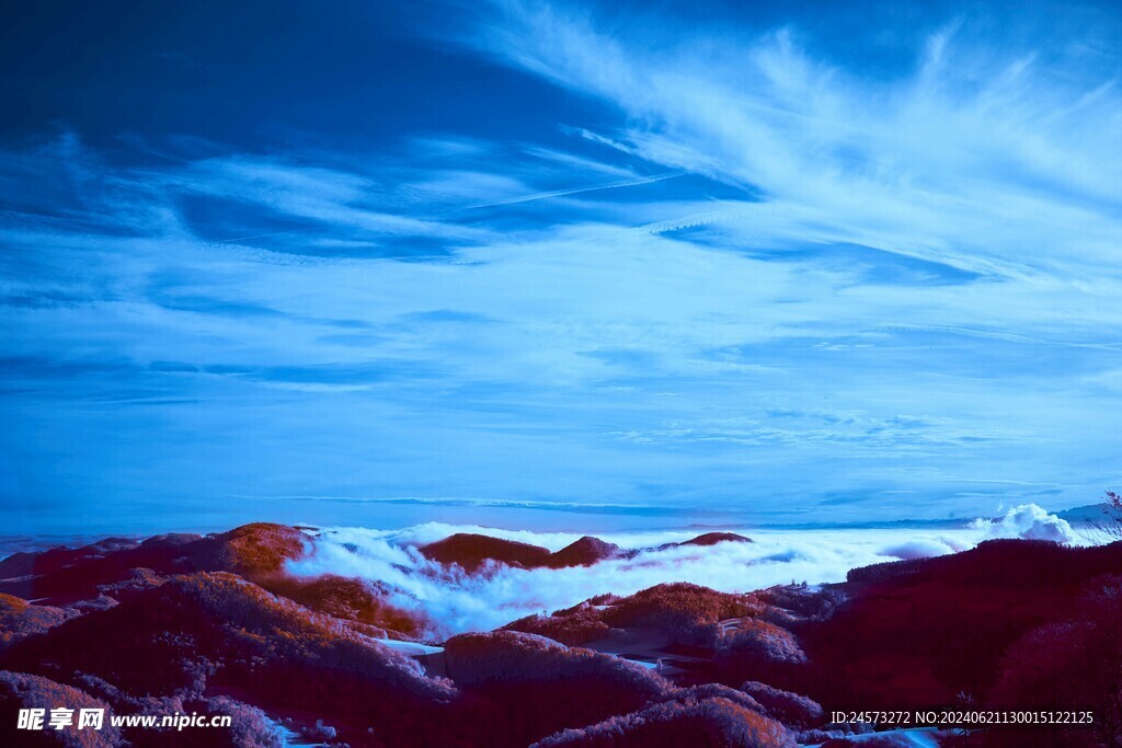 海景 