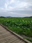 管社山庄