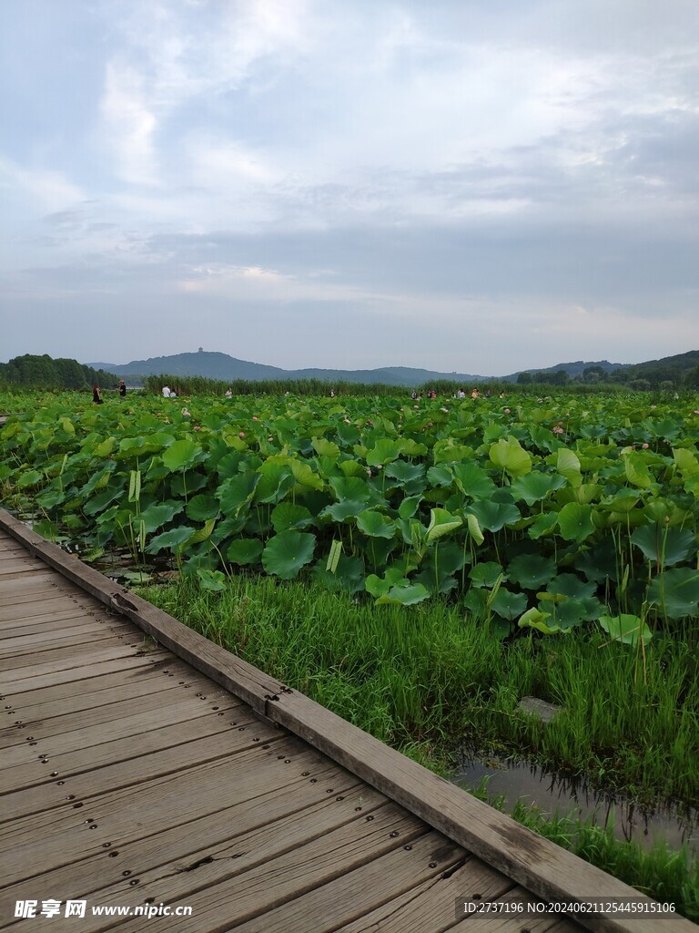 管社山庄