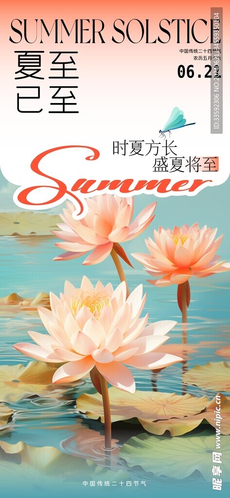 夏至节气海报